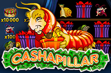 Cashapilar