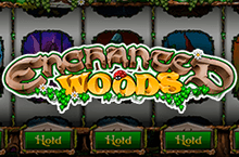 enchanted woods
